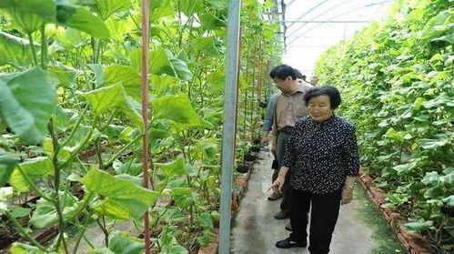 旅游吃瓜最新事件爆料是真的吗,最新爆料真相揭秘
