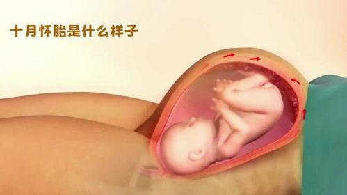 宝宝发育全过程视频,从呱呱坠地到蹒跚学步的精彩瞬间