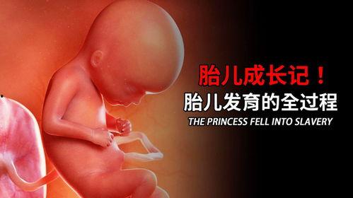 宝宝发育全过程视频,从呱呱坠地到蹒跚学步的精彩瞬间