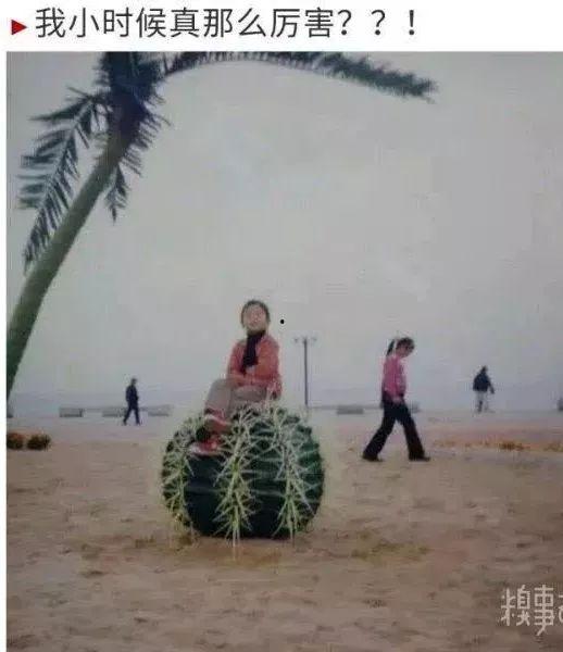 你的渡口外网照片吃瓜黑料,吃瓜黑料背后的真相