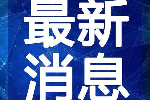 闻视频,揭秘现代科技与生活融合的奇妙瞬间