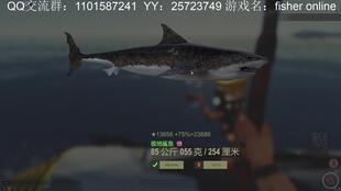鲨鱼视频大全,鲨鱼视频大全精彩瞬间回顾