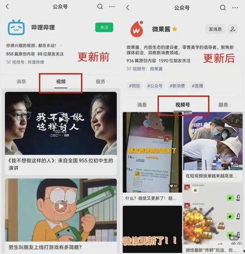 视频头像,揭秘人物性格与生活点滴