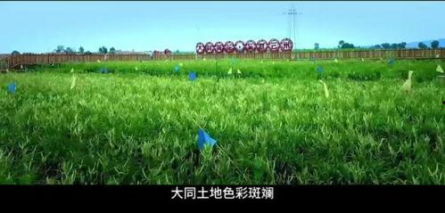 青草免费视频观看视频,轻松获取精彩瞬间