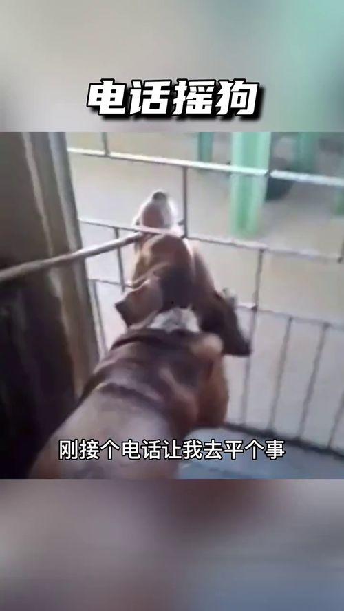 播放搞笑视频,让你笑到肚子疼