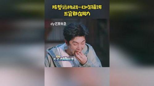 吃瓜爆料号陈哲远,吃瓜爆料号背后的故事与真相