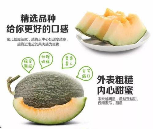 糖尿病人可以吃黑蜜瓜吗,糖尿病人群适量食用黑蜜瓜的注意事项
