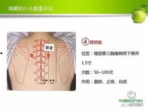 分推肩胛骨视频,轻松缓解肩颈不适的实用技巧