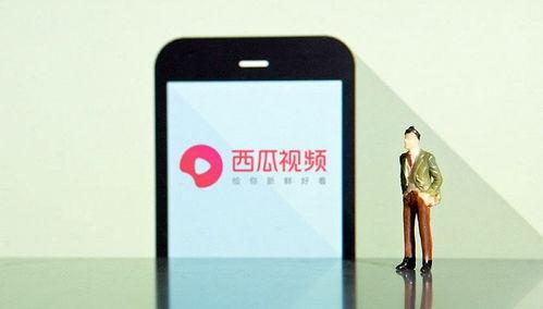 西瓜视频大全,海量精彩内容，一网打尽！