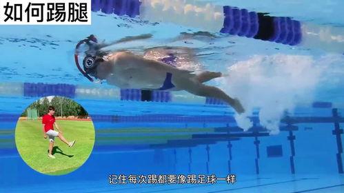 自由泳慢动作视频,揭秘游泳高手的水中奥秘