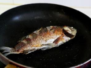 鲫鱼做法视频,视频教学，轻松学会美味鲫鱼做法