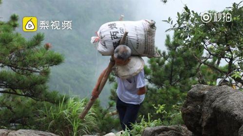 挑山工视频,揭秘挑山工的艰辛与坚韧