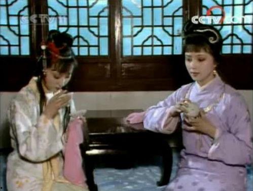 红楼梦 视频,揭秘贾府兴衰与人性百态