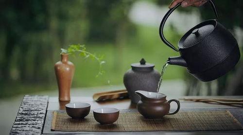 喝茶的视频,跟随视频探寻品茗之美