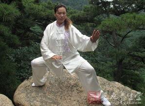 太极拳84式视频,动静结合，养生健身之道
