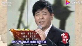 叶矛红豆曲视频