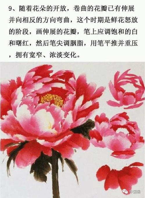 国画牡丹花教学视频,传统技法与现代创意的完美融合