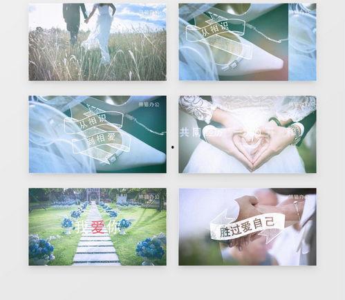 婚礼素材视频,重温甜蜜回忆