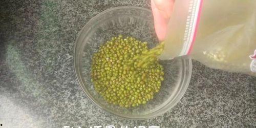 绿豆冰棒的做法视频,绿豆冰棒制作教程