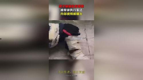 挨家法视频,揭秘家庭安全防范新策略