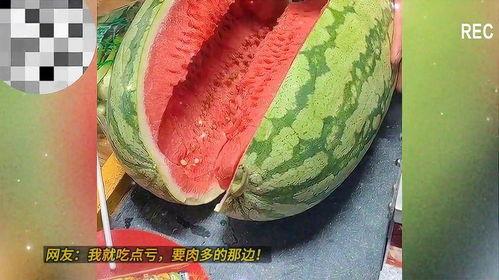 51黑料朝阳吃瓜,真相与争议交织