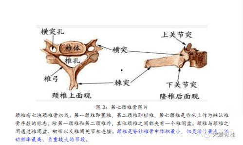 治疗颈椎病的视频
