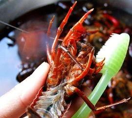 小龙虾怎么清洗视频,视频教学，轻松掌握清洁技巧