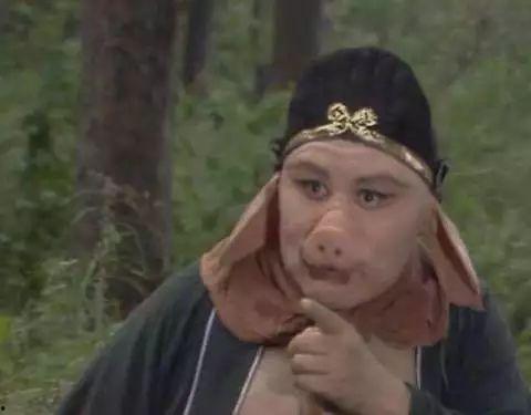 八戒视频,趣味横生，笑点爆棚的短视频盛宴