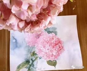 花花视频,带你领略短视频的魅力与风采
