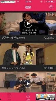 好吊视频在线观看,揭秘热门短视频的魅力所在