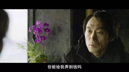 活着视频,生命意义的深刻探寻与生命价值的永恒传承