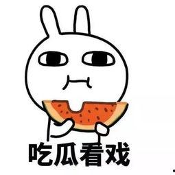 51热门吃瓜今日吃瓜反差婊,今日反差“婊”现象解析
