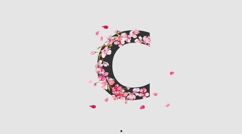 字母圈视频,探索神秘字母圈的奥秘与魅力