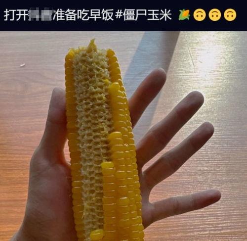 苞米视频,揭秘农业科技新篇章