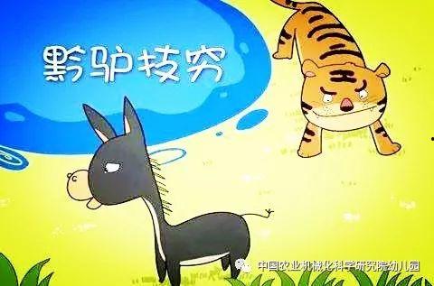 黔驴技穷视频,揭秘视频背后的故事与启示