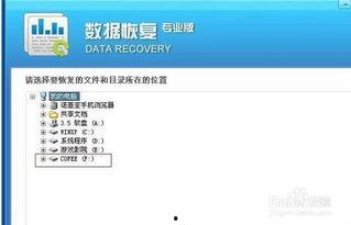 删掉的视频如何恢复