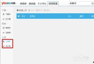 优酷网上传视频,揭秘热门视频背后的故事