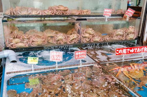 多毛日本人视频,揭秘多毛日本人的独特魅力