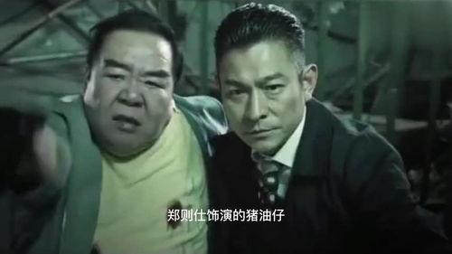 下辈子还叫刘德华视频,刘德华传奇人生回顾