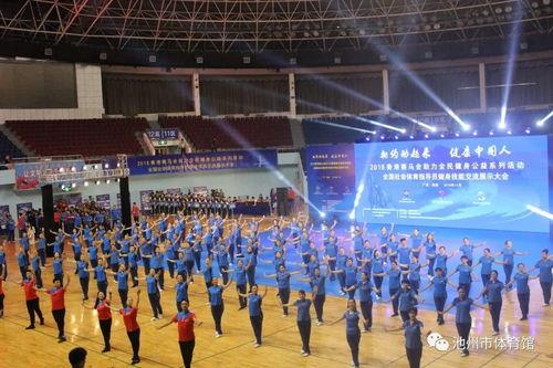 体育技能展示视频,视频解析体育技能展示