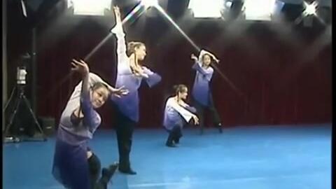 古典舞蹈视频大全,穿越时空的舞蹈艺术精华集锦