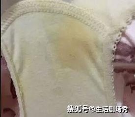 原味内衣视频,一场视觉与感官的双重盛宴