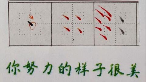 笔画教学视频,掌握汉字笔画之美——汉字笔画教学视频概述