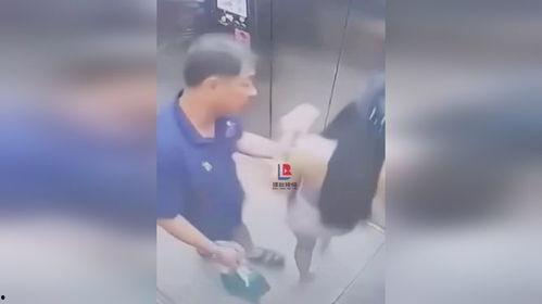 摸胸亲下面视频,揭秘摸胸亲下面视频背后的故事