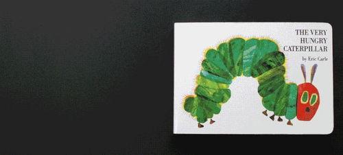 毛毛虫变蝴蝶的故事视频,毛毛虫化蝶的神奇蜕变历程