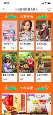 致富视频,实战攻略与案例分析