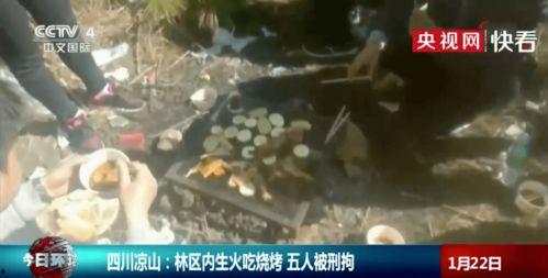 凉山吃瓜爆料事件视频播放,揭秘事件背后真相