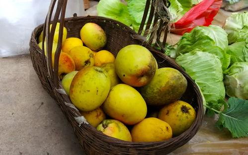 云南今日小瓜价格多少钱一斤,行情动态一览