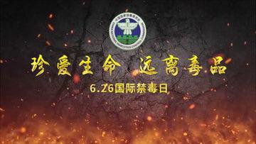 生命视频,捕捉自然之美