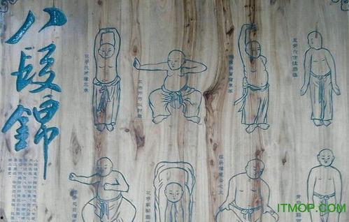 八段锦功法教学视频,轻松入门，养生保健一步到位